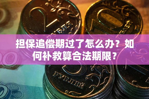 济南担保追偿期过了怎么办？如何补救算合法期限？