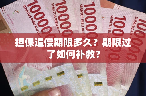 济南担保追偿期限多久？期限过了如何补救？