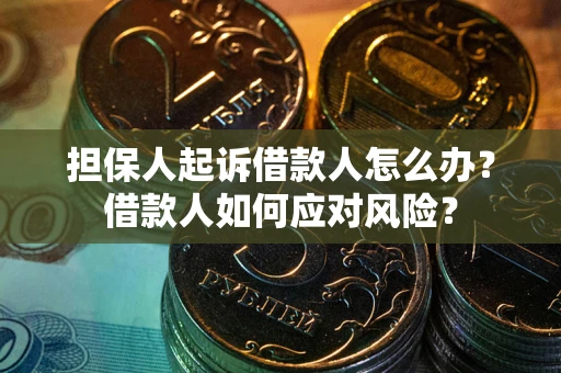 济南担保人起诉借款人怎么办？借款人如何应对风险？
