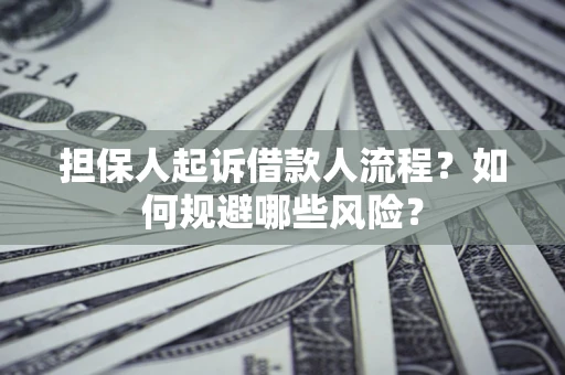 济南担保人起诉借款人流程？如何规避哪些风险？