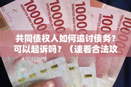 济南共同债权人如何追讨债务？可以起诉吗？（速看合法攻略）